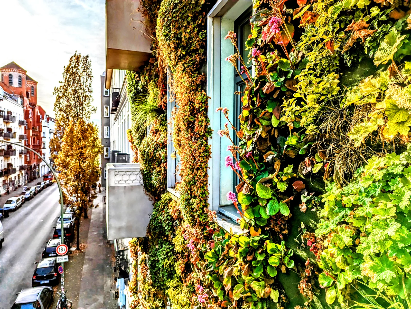 The building’s lush living plant wall beside the balcony